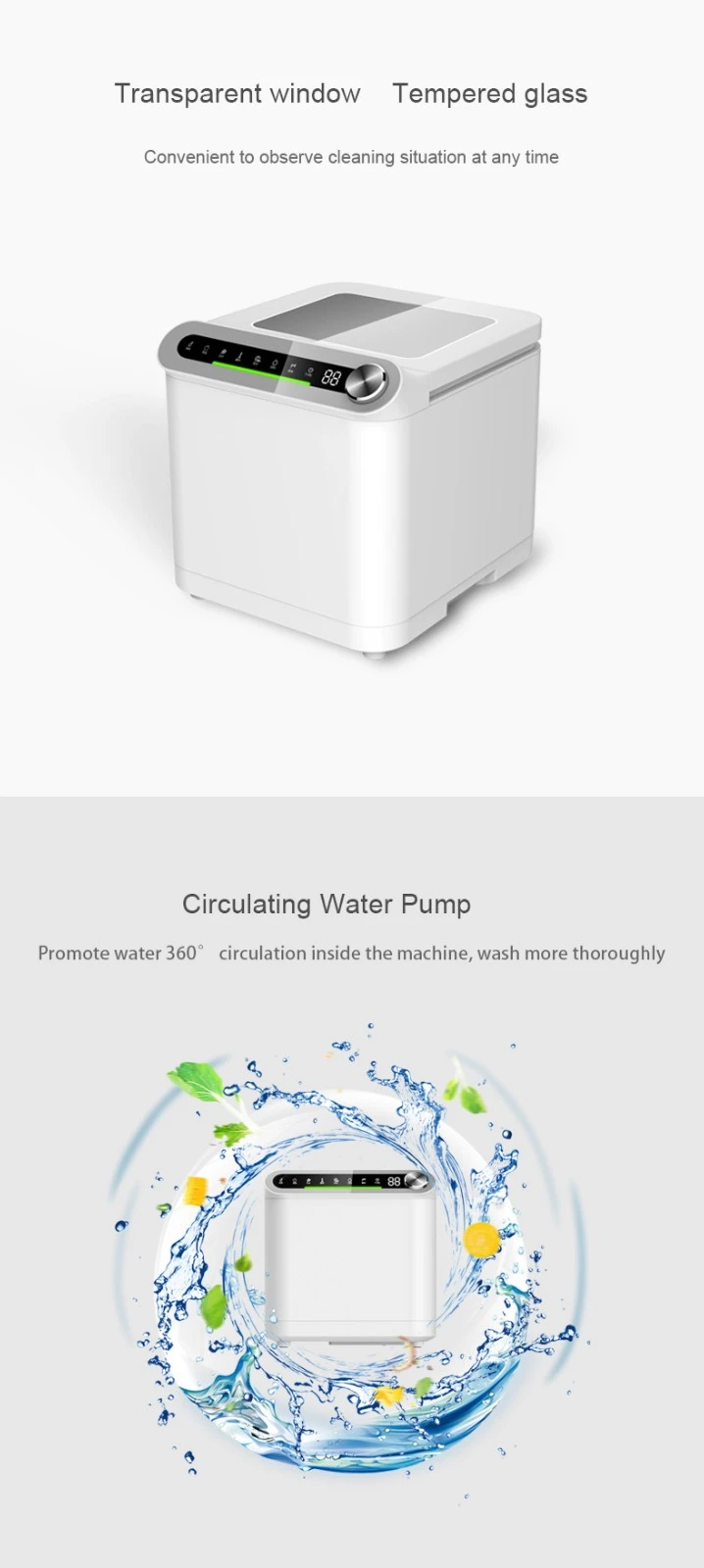 Fruit cleaning machine (6)