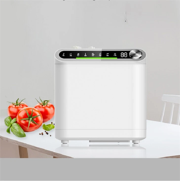 vegetable cleaner (2)