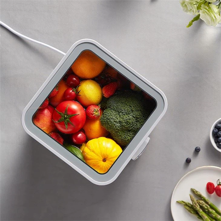 Fruit Vegetable Washer Machine