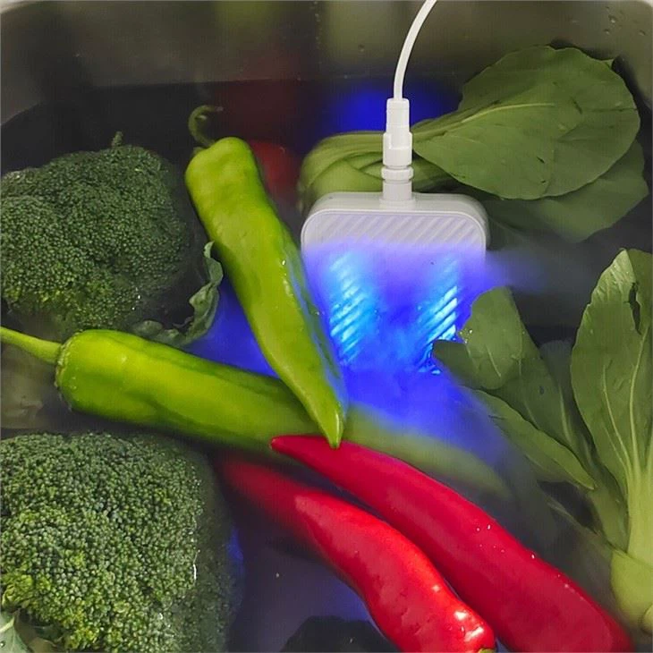 fruit and vegetable cleaner machine (1)