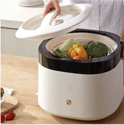 Ozone Fruit Vegetable Cleaner